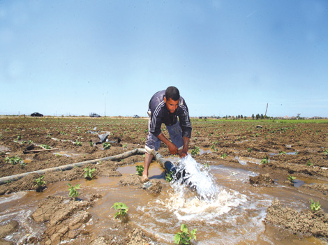 [[article_title_text]]