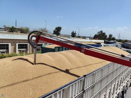 [[article_title_text]]